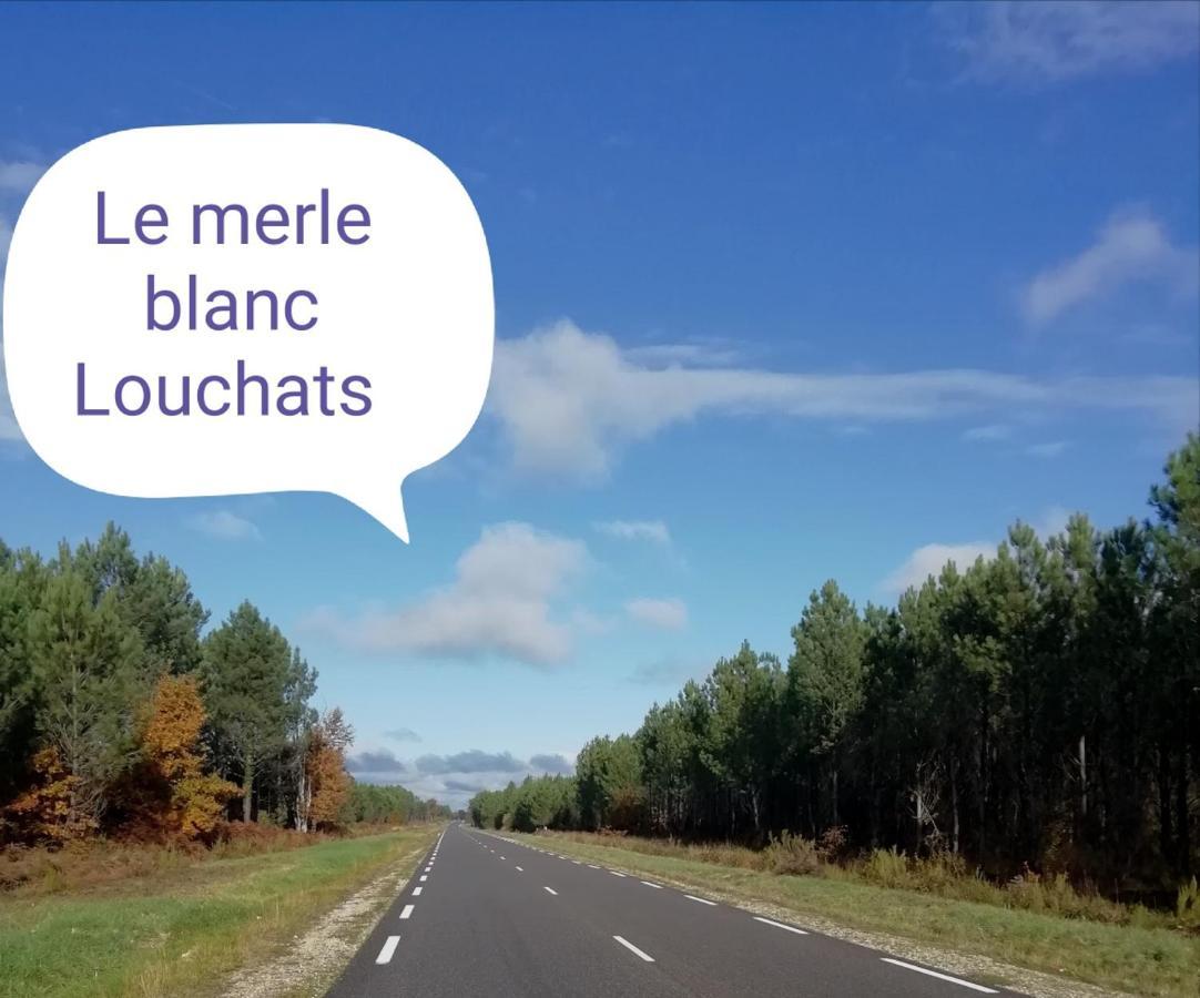 Hotel Le Merle Blanc Louchats Esterno foto